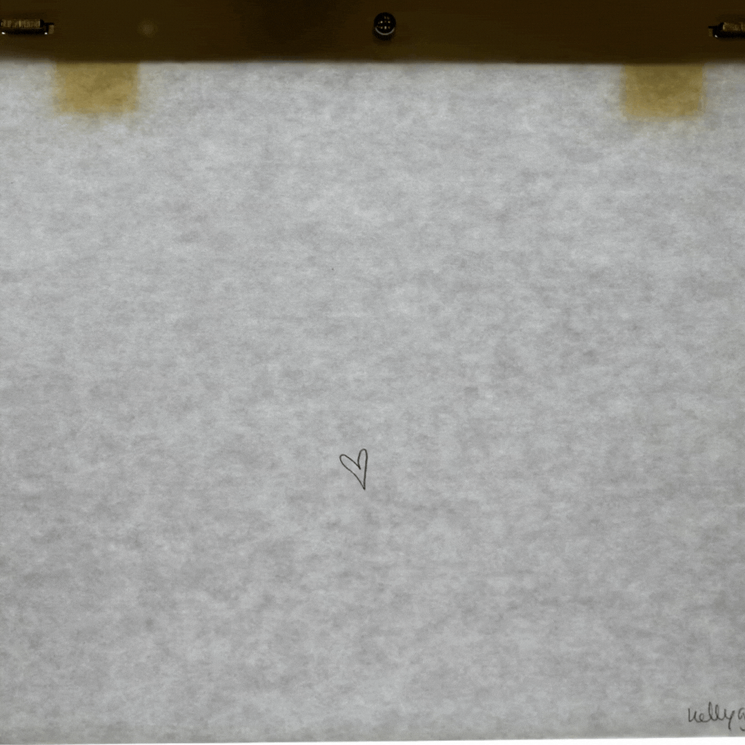 pencil and paper flower animation